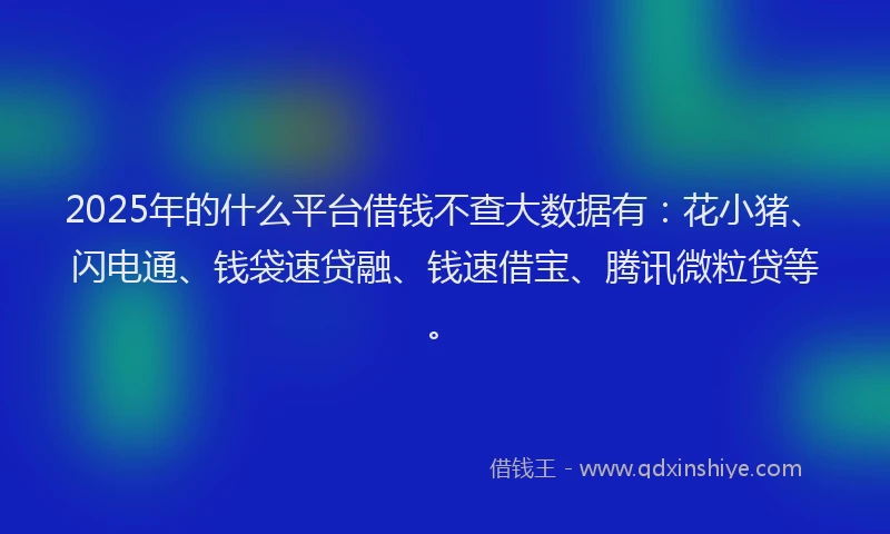 2025年的什么平台借钱不查大数据有：花小猪、闪电通、钱袋速贷融、钱速借宝、腾讯微粒贷等。