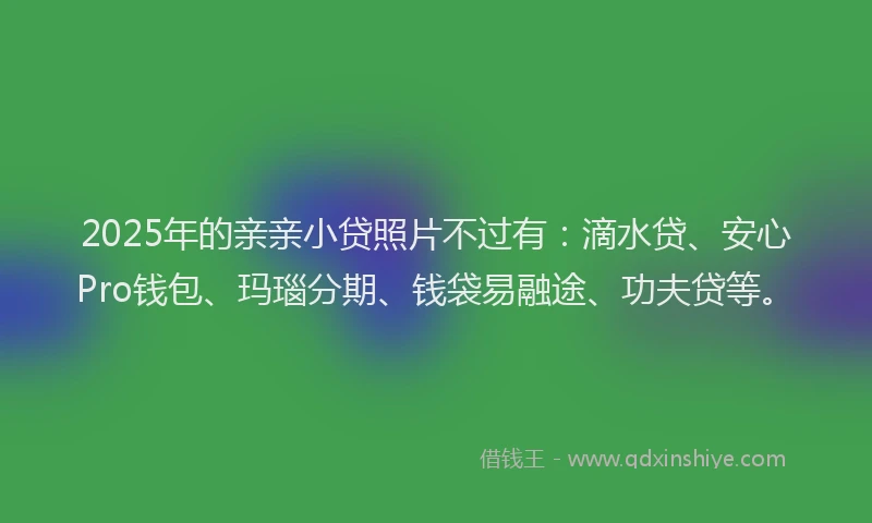 2025年的亲亲小贷照片不过有：滴水贷、安心Pro钱包、玛瑙分期、钱袋易融途、功夫贷等。