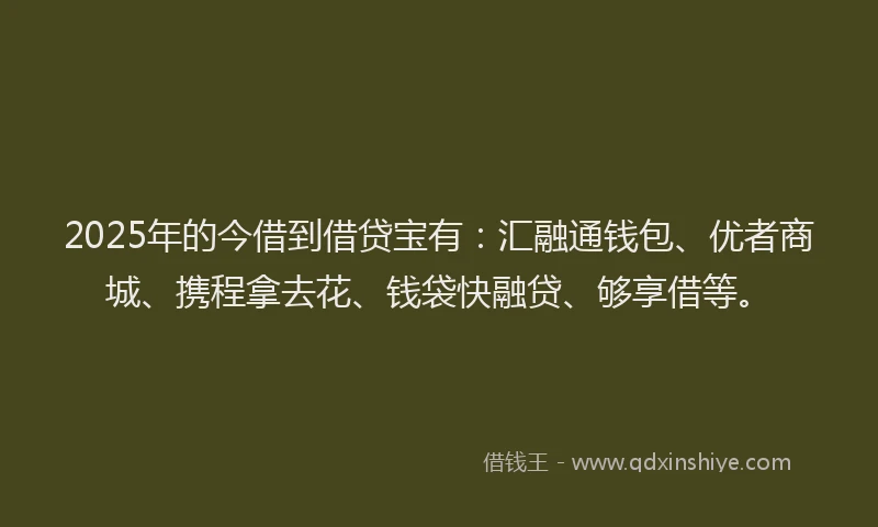 2025年的今借到借贷宝有：汇融通钱包、优者商城、携程拿去花、钱袋快融贷、够享借等。