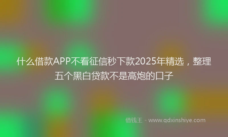 什么借款APP不看征信秒下款2025年精选，整理五个黑白贷款不是高炮的口子