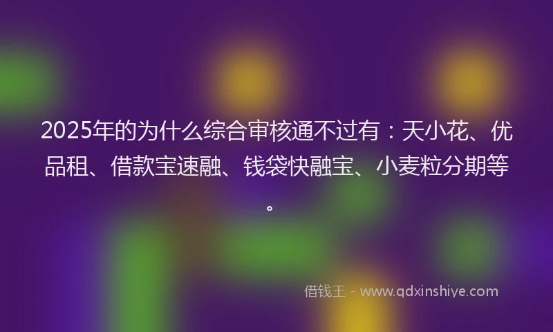 2025年的为什么综合审核通不过有：天小花、优品租、借款宝速融、钱袋快融宝、小麦粒分期等。