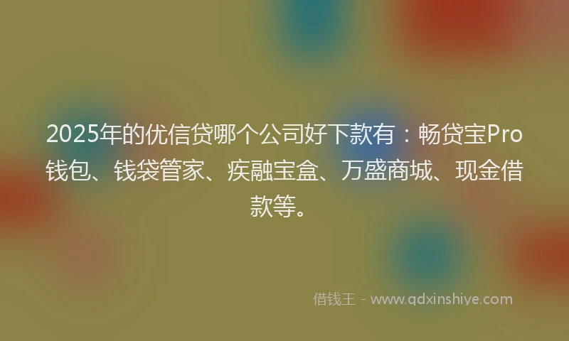 2025年的优信贷哪个公司好下款有：畅贷宝Pro钱包、钱袋管家、疾融宝盒、万盛商城、现金借款等。
