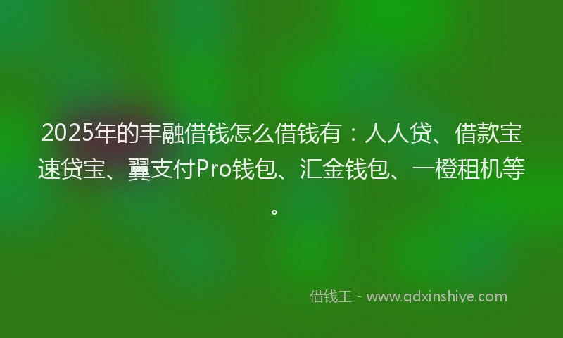 2025年的丰融借钱怎么借钱有：人人贷、借款宝速贷宝、翼支付Pro钱包、汇金钱包、一橙租机等。