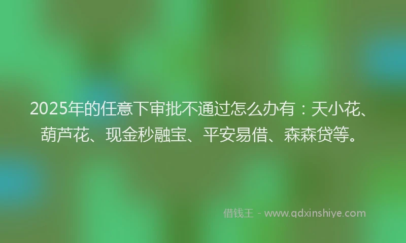 2025年的任意下审批不通过怎么办有：天小花、葫芦花、现金秒融宝、平安易借、森森贷等。