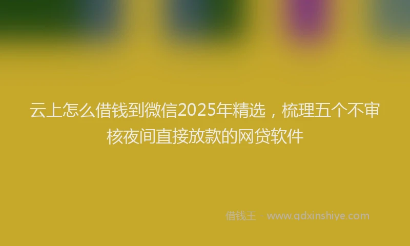 云上怎么借钱到微信2025年精选，梳理五个不审核夜间直接放款的网贷软件
