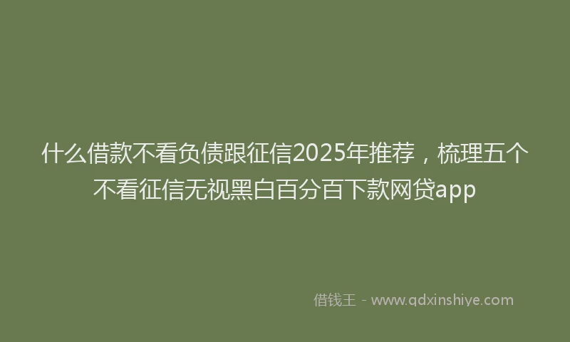 什么借款不看负债跟征信2025年推荐，梳理五个不看征信无视黑白百分百下款网贷app