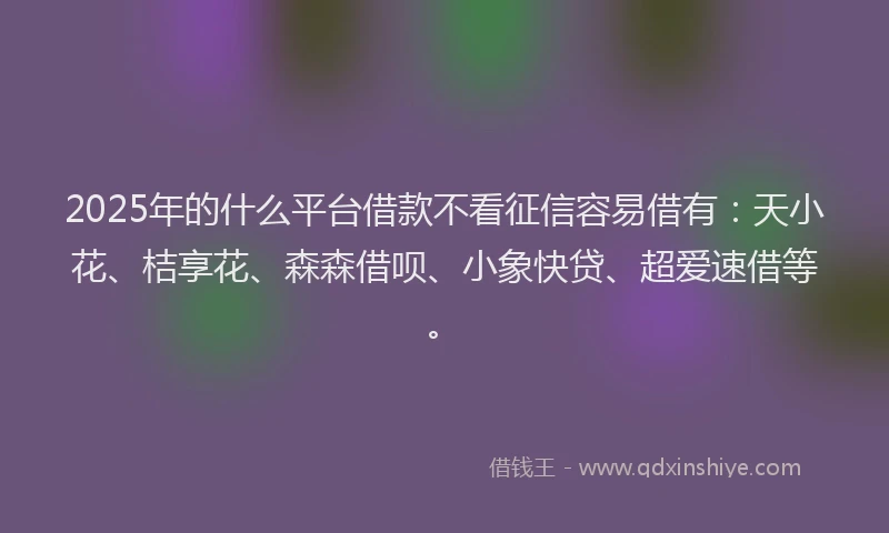 2025年的什么平台借款不看征信容易借有：天小花、桔享花、森森借呗、小象快贷、超爱速借等。