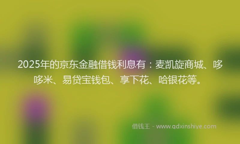 2025年的京东金融借钱利息有：麦凯旋商城、哆哆米、易贷宝钱包、享下花、哈银花等。