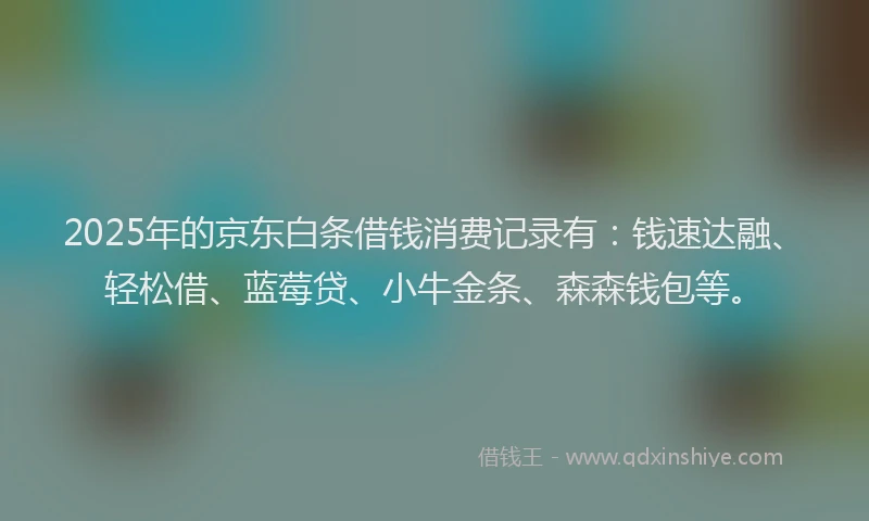 2025年的京东白条借钱消费记录有：钱速达融、轻松借、蓝莓贷、小牛金条、森森钱包等。