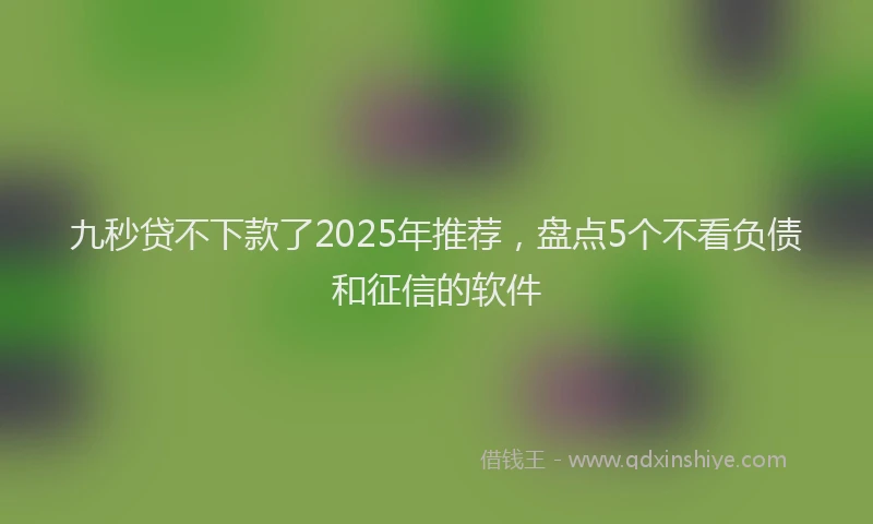 九秒贷不下款了2025年推荐，盘点5个不看负债和征信的软件