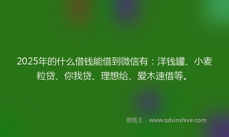 2025年的什么借钱能借到微信有：洋钱罐、小麦粒贷、你我贷、理想给、爱木速借等。