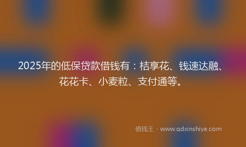 2025年的低保贷款借钱有：桔享花、钱速达融、花花卡、小麦粒、支付通等。