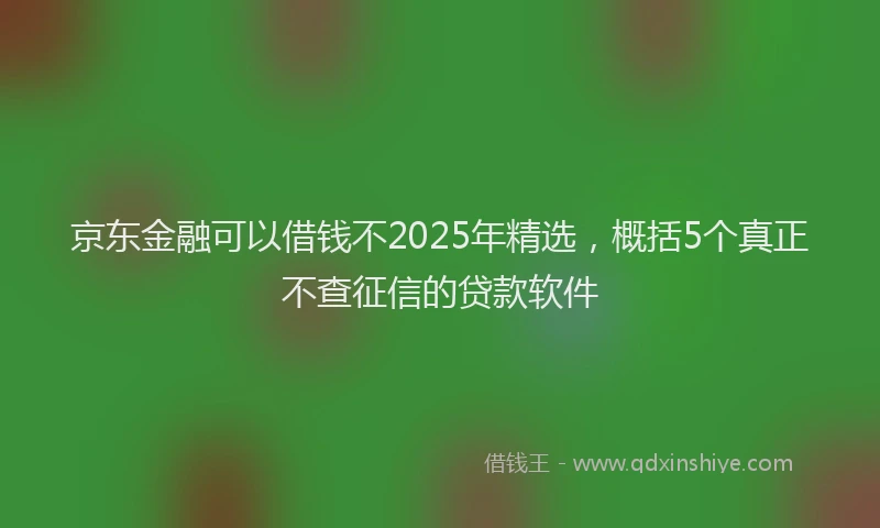 京东金融可以借钱不2025年精选，概括5个真正不查征信的贷款软件