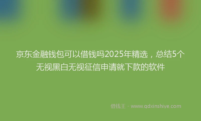 京东金融钱包可以借钱吗2025年精选，总结5个无视黑白无视征信申请就下款的软件