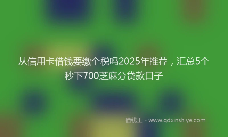 从信用卡借钱要缴个税吗2025年推荐，汇总5个秒下700芝麻分贷款口子