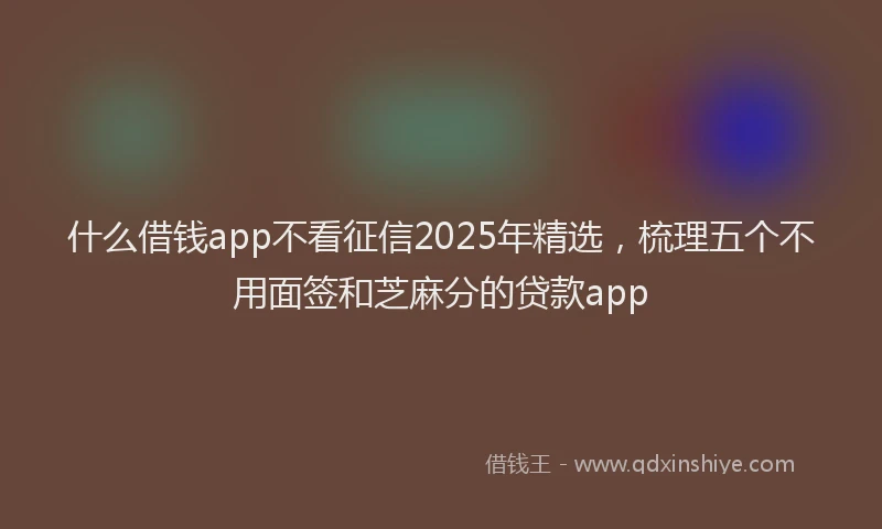 什么借钱app不看征信2025年精选，梳理五个不用面签和芝麻分的贷款app