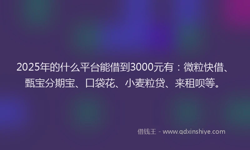 2025年的什么平台能借到3000元有：微粒快借、甄宝分期宝、口袋花、小麦粒贷、来租呗等。