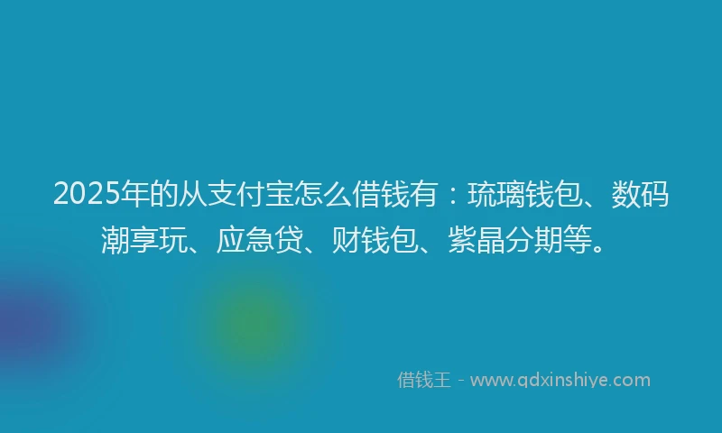 2025年的从支付宝怎么借钱有：琉璃钱包、数码潮享玩、应急贷、财钱包、紫晶分期等。