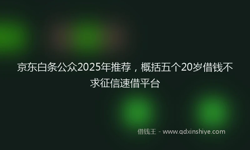 京东白条公众2025年推荐，概括五个20岁借钱不求征信速借平台