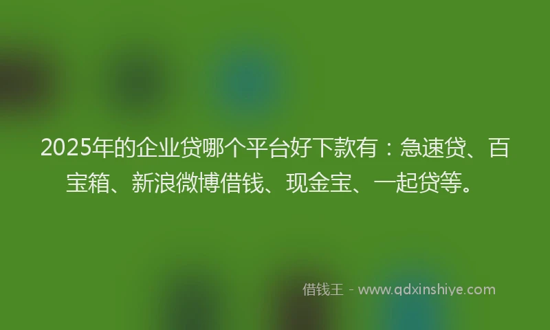 2025年的企业贷哪个平台好下款有：急速贷、百宝箱、新浪微博借钱、现金宝、一起贷等。