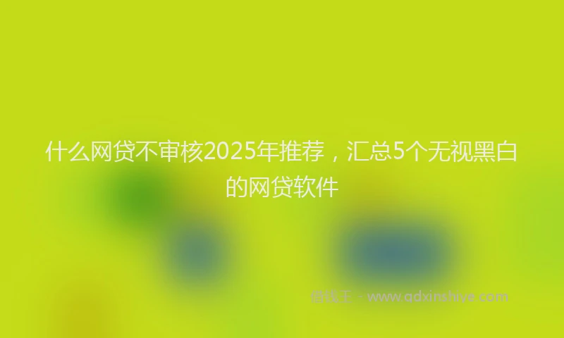 什么网贷不审核2025年推荐，汇总5个无视黑白的网贷软件