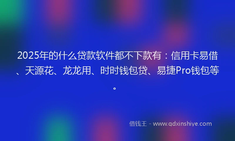 2025年的什么贷款软件都不下款有：信用卡易借、天源花、龙龙用、时时钱包贷、易捷Pro钱包等。
