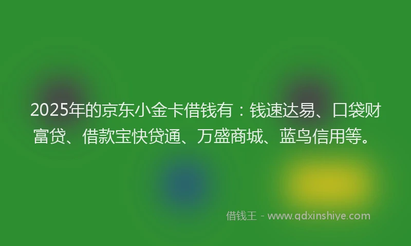 2025年的京东小金卡借钱有：钱速达易、口袋财富贷、借款宝快贷通、万盛商城、蓝鸟信用等。