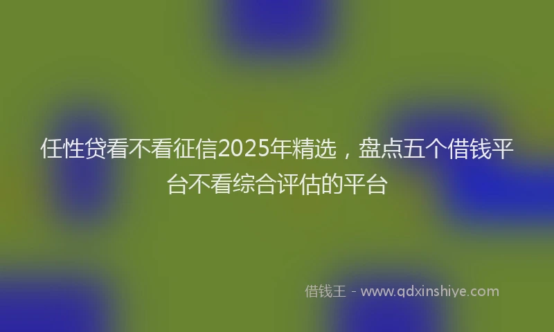 任性贷看不看征信2025年精选，盘点五个借钱平台不看综合评估的平台