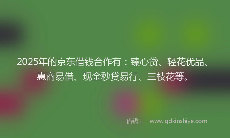 2025年的京东借钱合作有：臻心贷、轻花优品、惠商易借、现金秒贷易行、三枝花等。