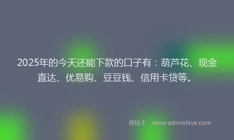 2025年的今天还能下款的口子有：葫芦花、现金直达、优易购、豆豆钱、信用卡贷等。