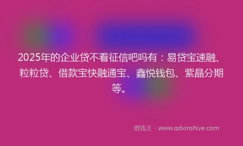 2025年的企业贷不看征信吧吗有：易贷宝速融、粒粒贷、借款宝快融通宝、鑫悦钱包、紫晶分期等。