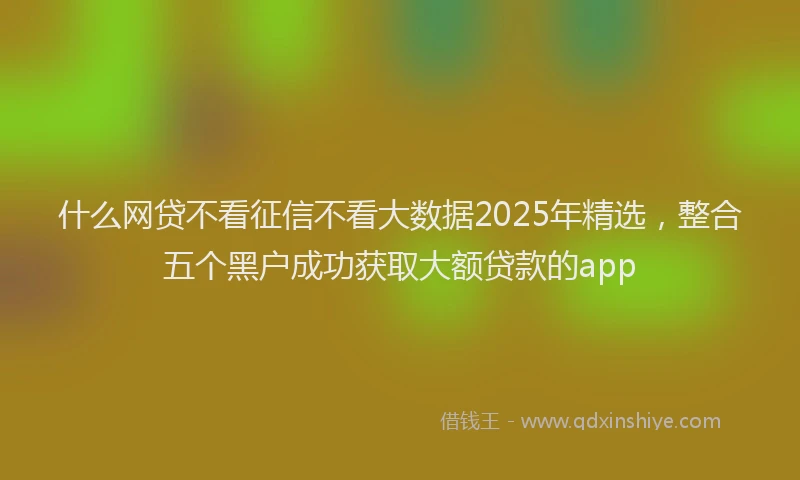 什么网贷不看征信不看大数据2025年精选，整合五个黑户成功获取大额贷款的app