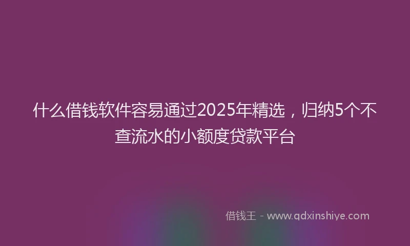 什么借钱软件容易通过2025年精选,归纳5个不查流水的小额度贷款平台