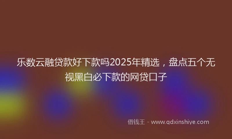 乐数云融贷款好下款吗2025年精选,盘点五个无视黑白必下款的网贷口子