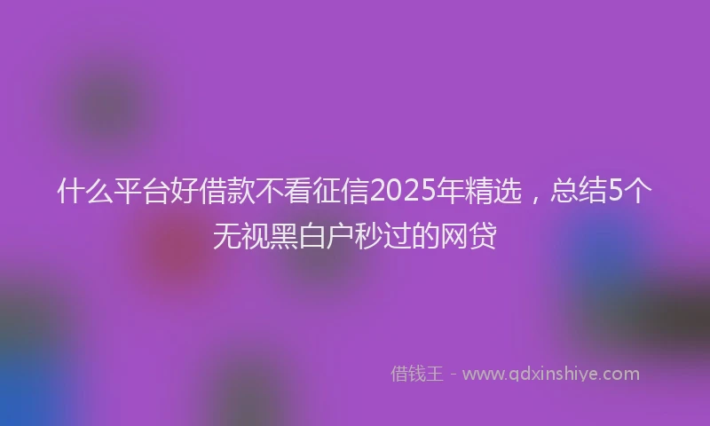 什么平台好借款不看征信2025年精选,总结5个无视黑白户秒过的网贷