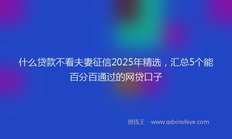 什么贷款不看夫妻征信2025年精选，汇总5个能百分百通过的网贷口子