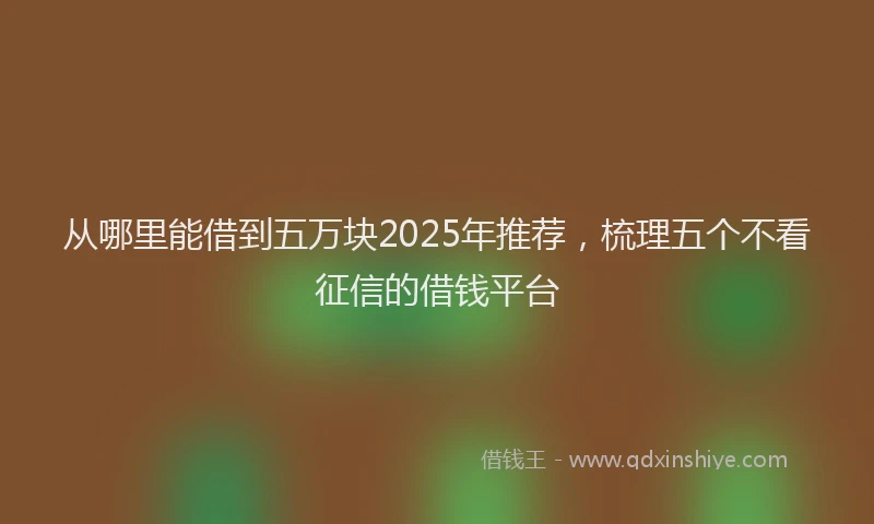 从哪里能借到五万块2025年推荐,梳理五个不看征信的借钱平台