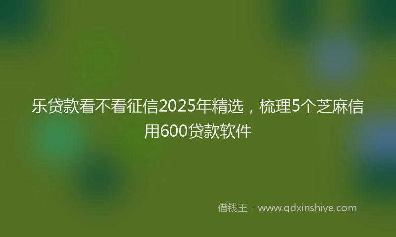 乐贷款看不看征信2025年精选，梳理5个芝麻信用600贷款软件
