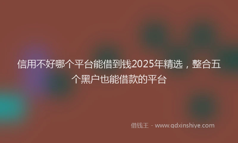信用不好哪个平台能借到钱2025年精选，整合五个黑户也能借款的平台