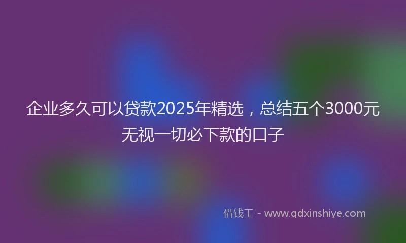 企业多久可以贷款2025年精选，总结五个3000元无视一切必下款的口子