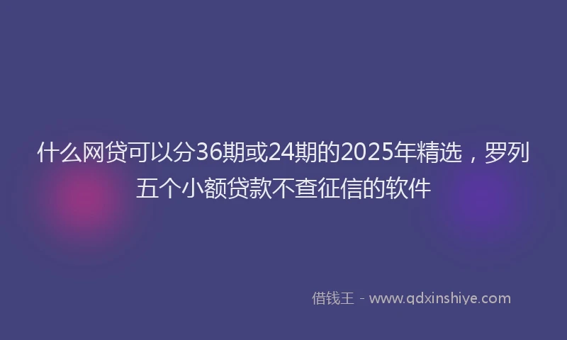 什么网贷可以分36期或24期的2025年精选，罗列五个小额贷款不查征信的软件