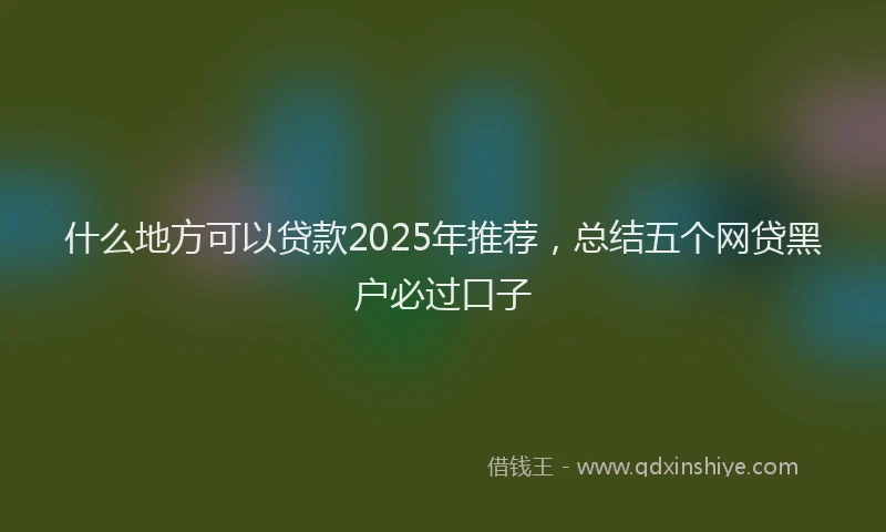 什么地方可以贷款2025年推荐，总结五个网贷黑户必过口子