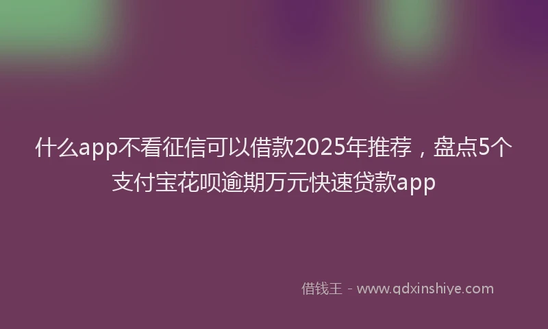 什么app不看征信可以借款2025年推荐，盘点5个支付宝花呗逾期万元快速贷款app