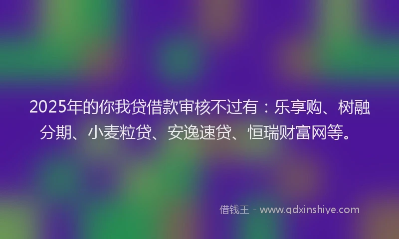 2025年的你我贷借款审核不过有：乐享购、树融分期、小麦粒贷、安逸速贷、恒瑞财富网等。