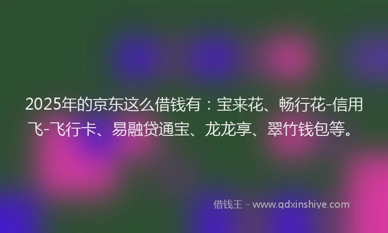 2025年的京东这么借钱有：宝来花、畅行花-信用飞-飞行卡、易融贷通宝、龙龙享、翠竹钱包等。