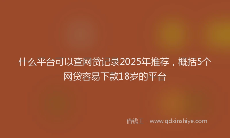 什么平台可以查网贷记录2025年推荐，概括5个网贷容易下款18岁的平台