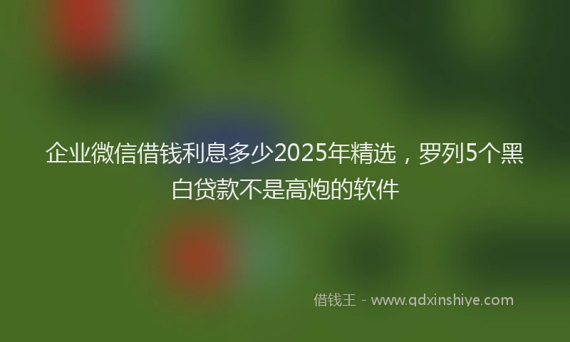 企业微信借钱利息多少2025年精选，罗列5个黑白贷款不是高炮的软件