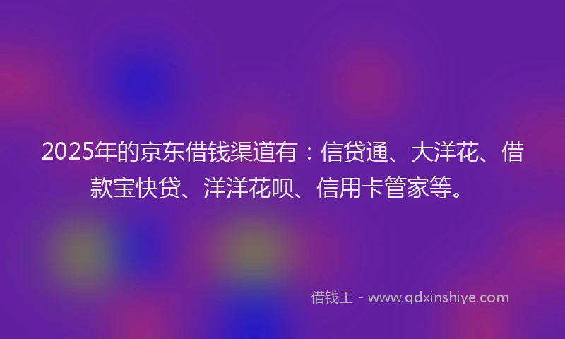 2025年的京东借钱渠道有：信贷通、大洋花、借款宝快贷、洋洋花呗、信用卡管家等。