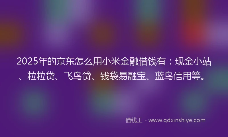 2025年的京东怎么用小米金融借钱有：现金小站、粒粒贷、飞鸟贷、钱袋易融宝、蓝鸟信用等。