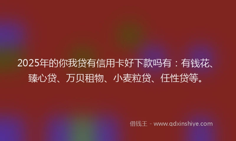 2025年的你我贷有信用卡好下款吗有：有钱花、臻心贷、万贝租物、小麦粒贷、任性贷等。